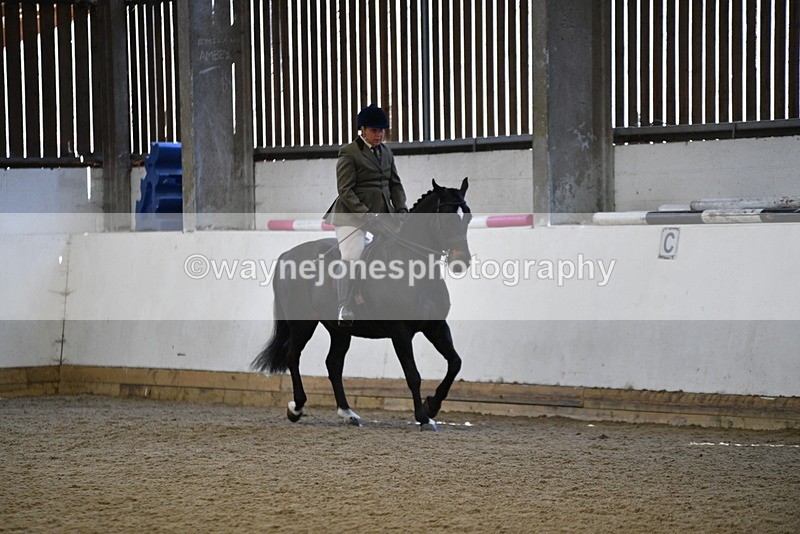 WJ5_5909 - Class 9 Ridden Veteran