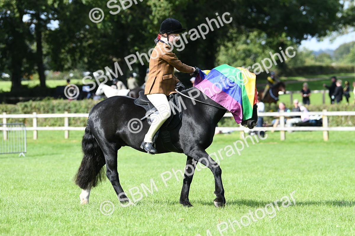 SBM_47057 - S12 - Family Horse & Pony