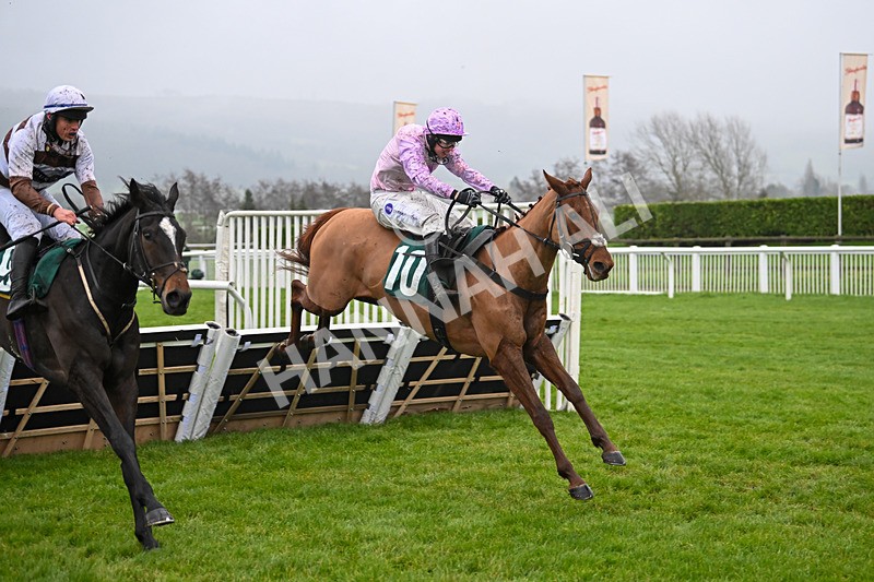 131224-Race 3-Wreckless Eric-8912 - Race 3