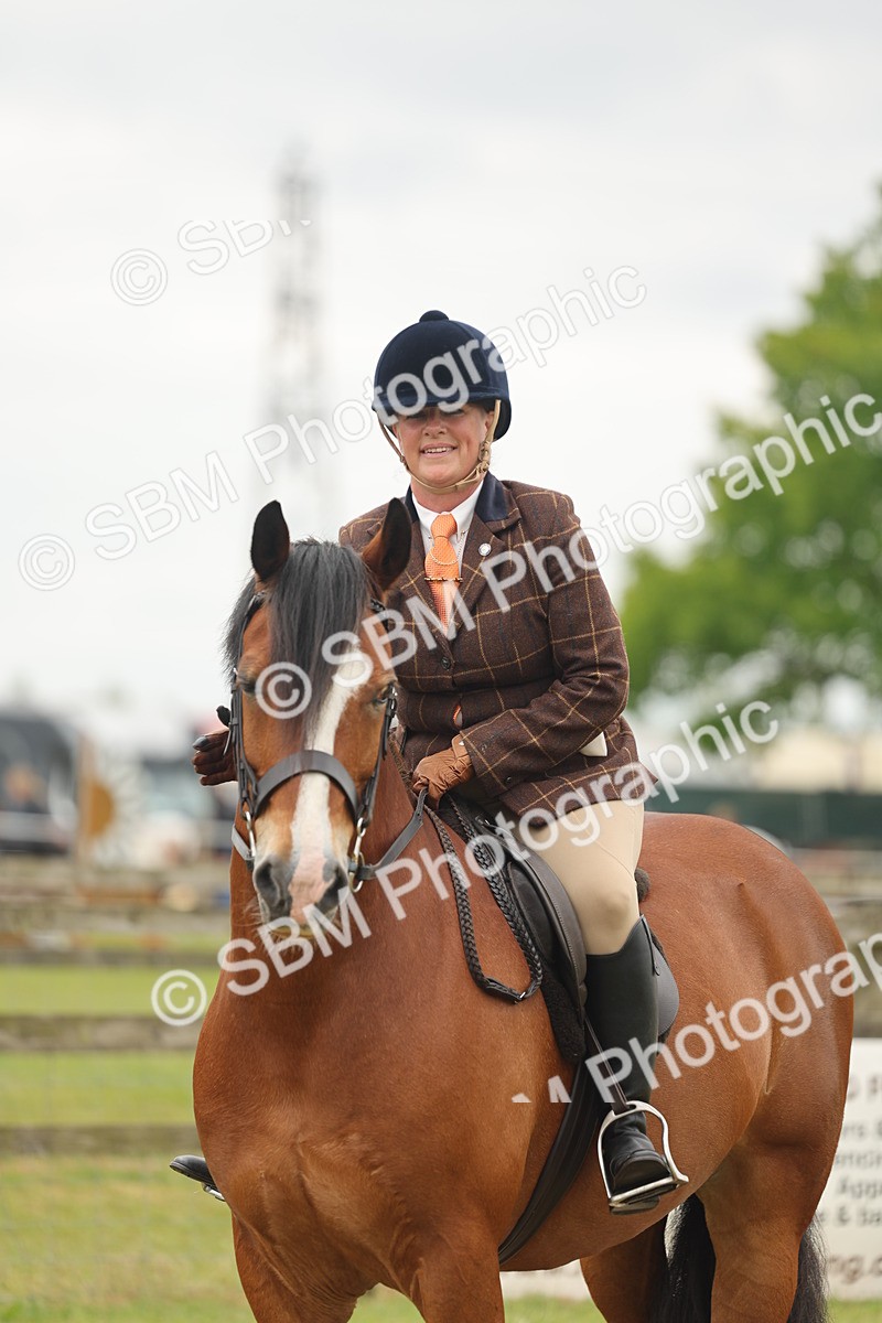 SBM_07248 - Class 76-77 - Ridden M&M Welsh Ponies