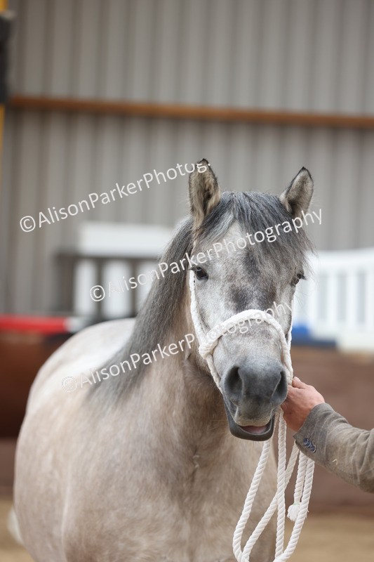 20251109-0929 - Class 26 - 2 and 4 Year Olds