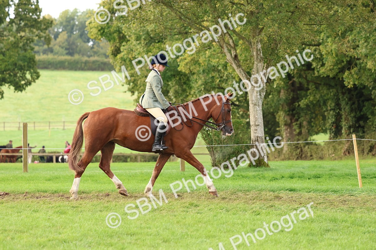 SBM_56552 - S40 - Starters Ridden Showing
