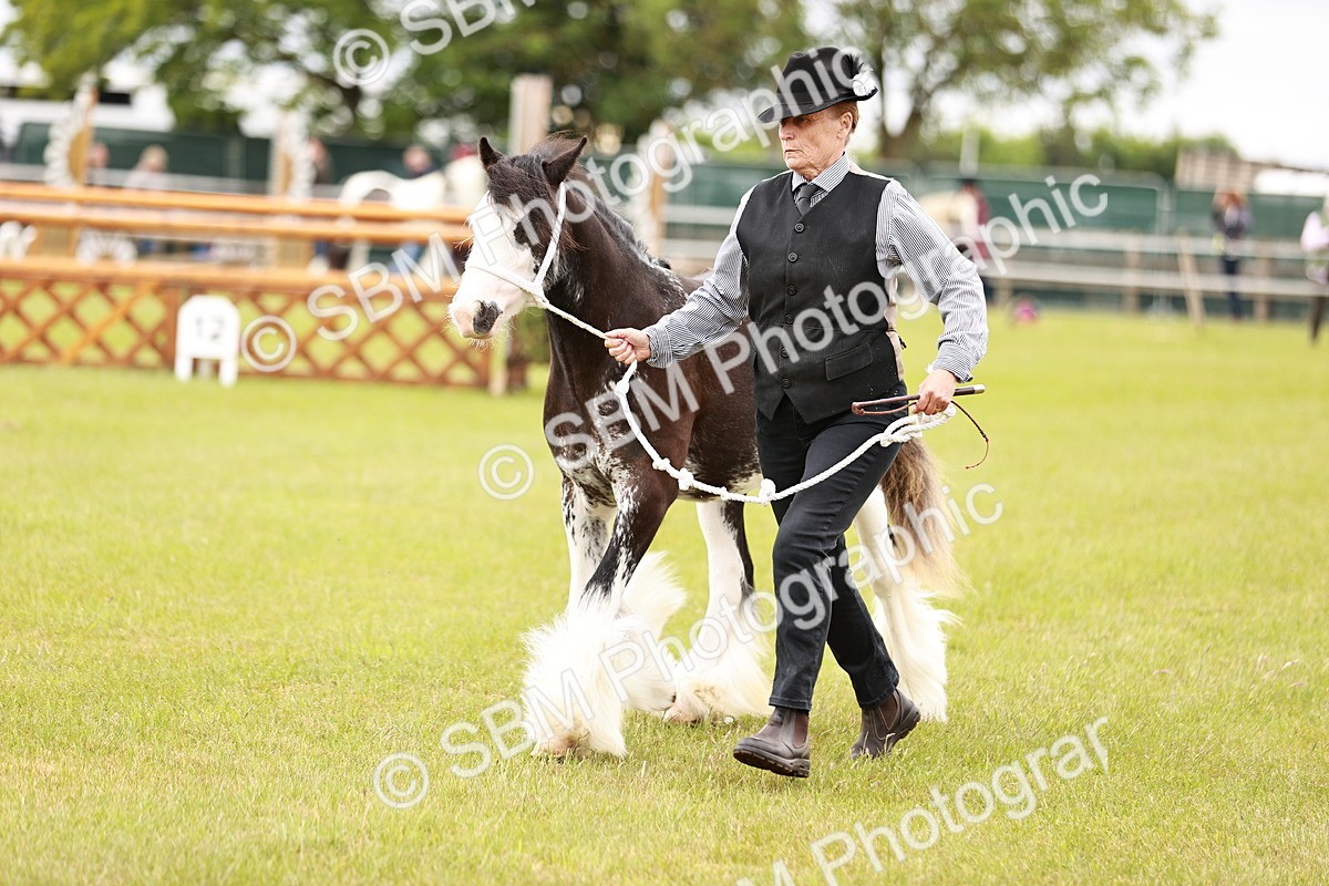 SBM_05973 - Class 39-41 TGCA In Hand and Ridden