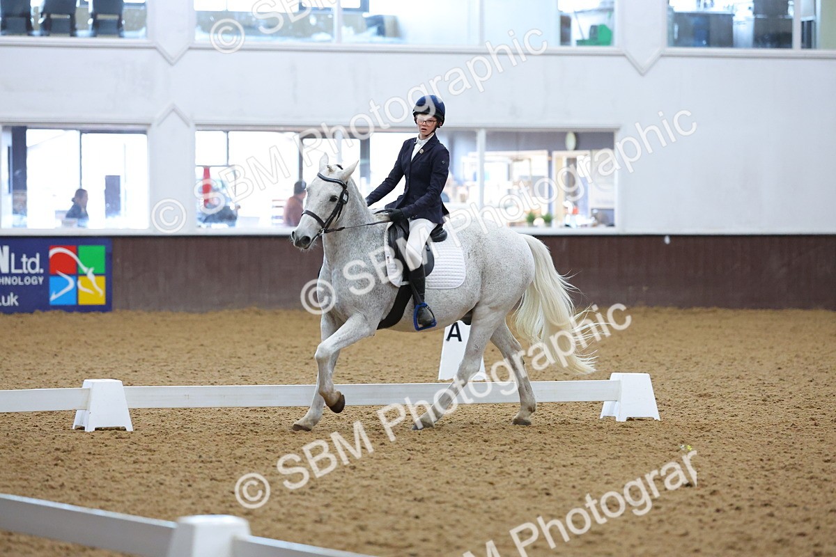 SBM_004145 - Intermediate