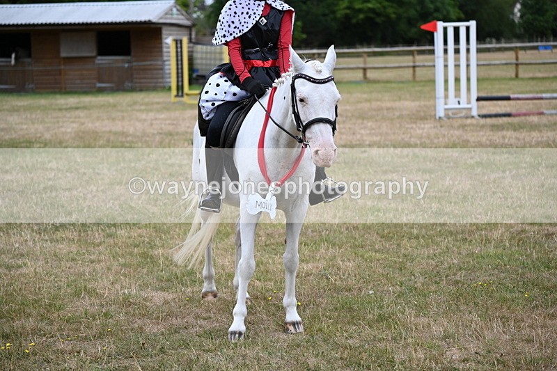 WJ6_4959 - Class 11 Fancy Dress