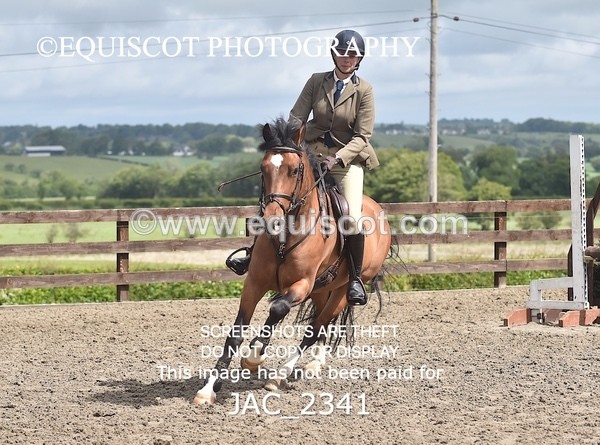 JAC_2341 - CLASS 3 Intermediate Working Hunter