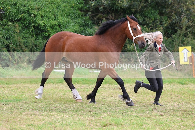 3E7A4385 - Class 15: Three Year Olds