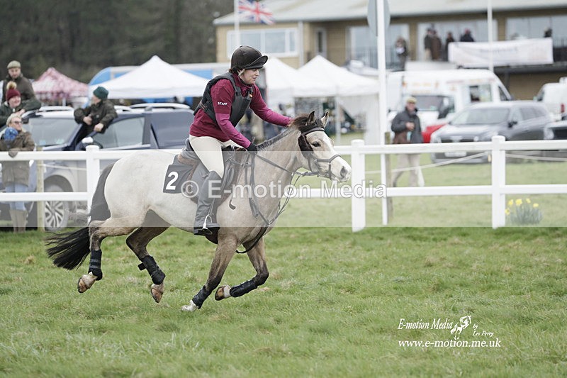 PtP 260323 0109 - New Forest Hounds Point-to-Point Larkhill 26/03/23