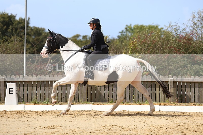 3E7A4104 - Class 9: Novice 6 Section B Championship