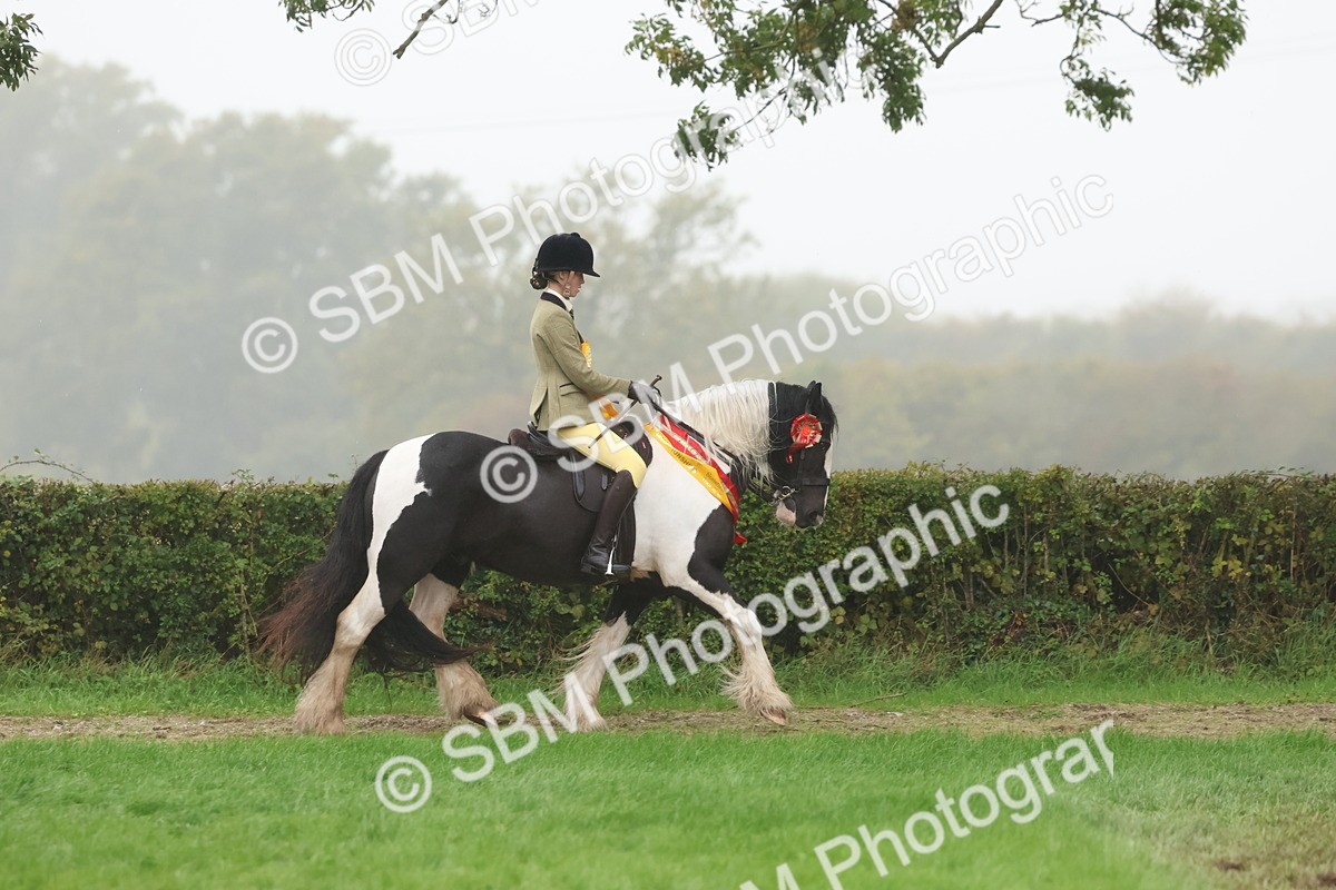 SBM_73205 - Super Supreme Championship(Sun)