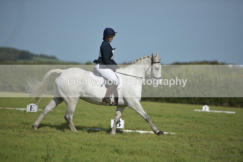 RAY_8136 - Class 2B: Trekenning Open: Dressage