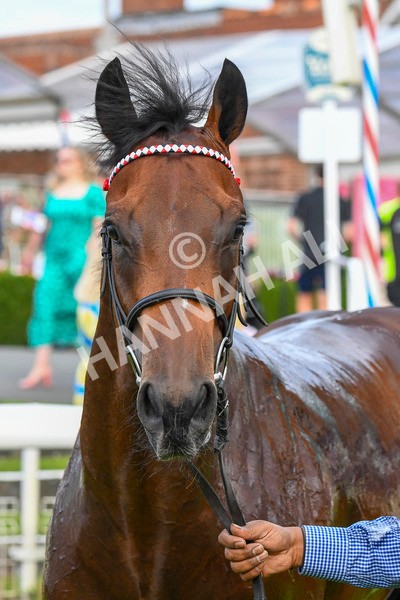 280723-Race 3-Loose Cannon-0331 - Race 3 6.05pm Ire-Incentive, It Pays To Buy Irish EBF Restricted Novice Stakes