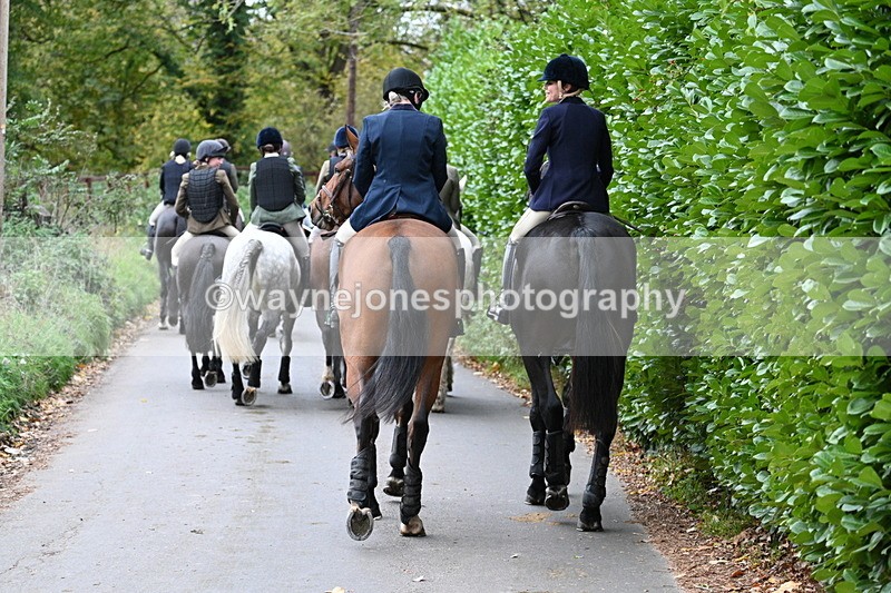 WJ7_7278 - Walk Home..