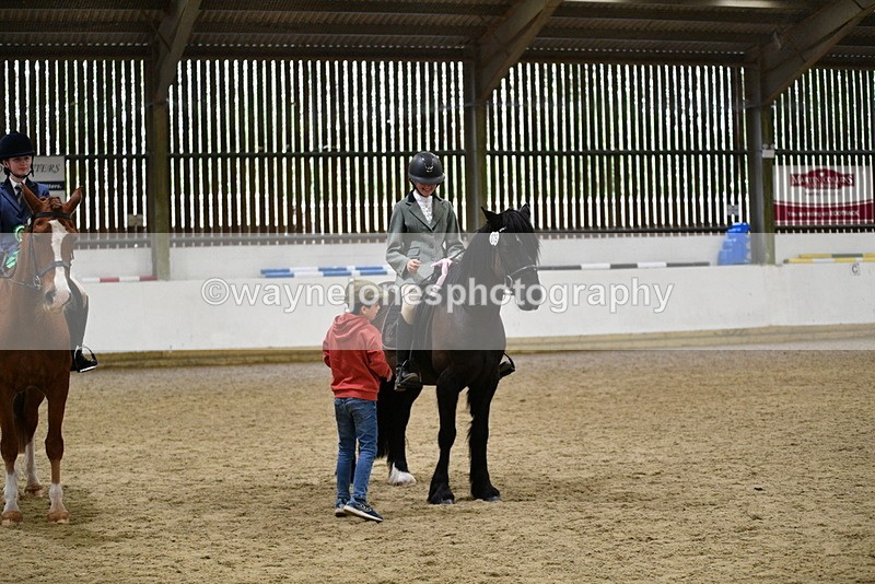 WJ5_8086 - Class 13 Ridden Part Breed
