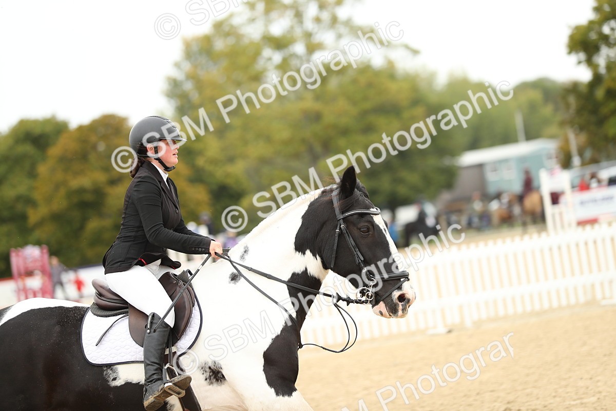 SBM_58772 - J25 - Junior Horse 80cm Championship