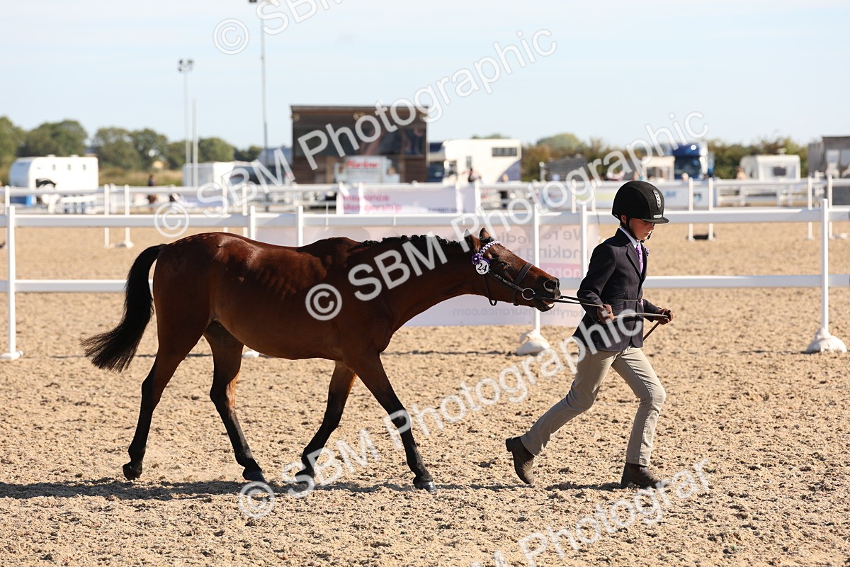SBM_11708 - Class 203 - Young Handler 11 to 16 years