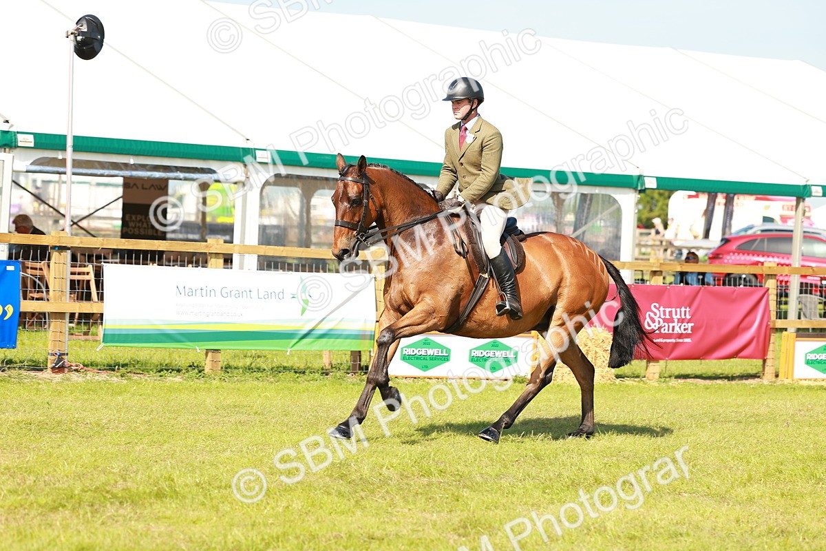 SBM_12060 - Class 66-69 - RIHS Ridden Hunters Inc Small Hunter