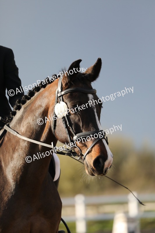 20260314-5945 - DR9 - PYO