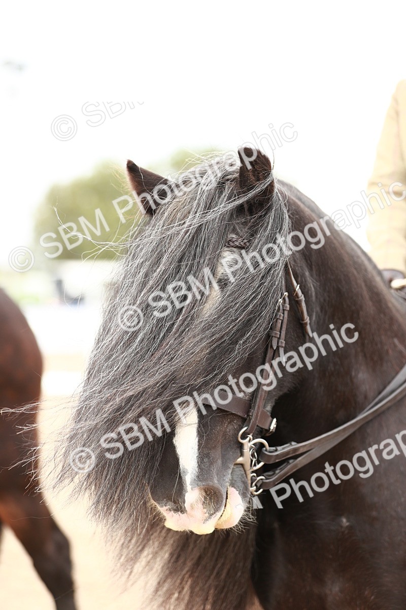SBM_16725 - Class 214 Ridden Cob