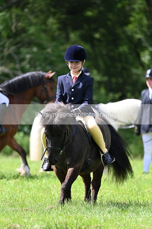 WJ7_1382 - Class 11 Condition & Turnout
