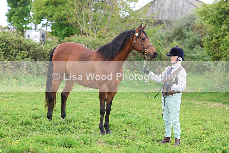 3E7A0878 - In Hand Championship