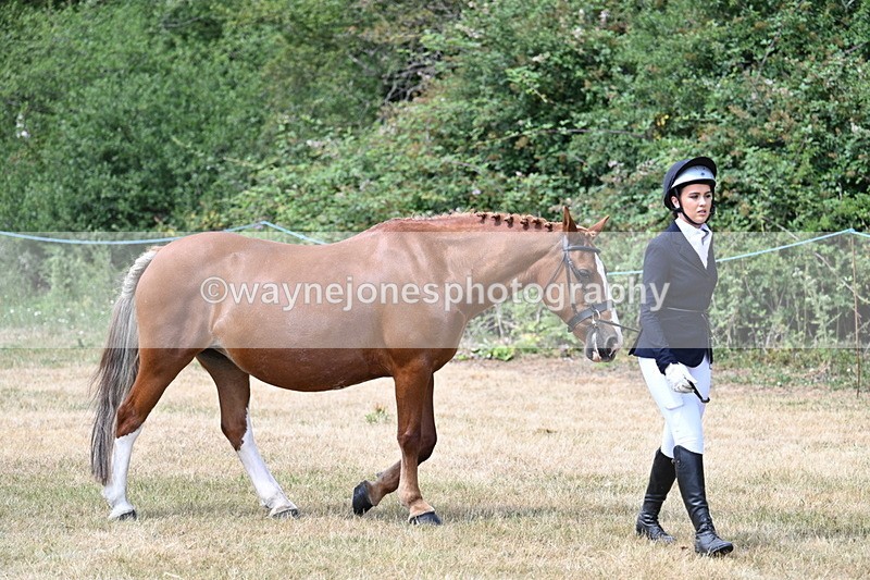 WJ7_1956 - Class 4a Prettiest Mare 14.2hh and over hand