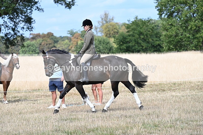 WJ7_5851 - Class 13 Ridden Veterans