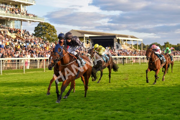 230923-Race 7-Two Brothers-7186 - Race 7 5.30pm Neil Atkinson's 60th Birthday Celebration Handicap