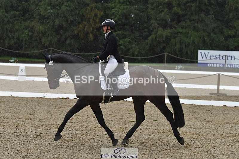 231018-154328-00859 - 012-ROMANY.CRICKET-Nana.Dalton-DR