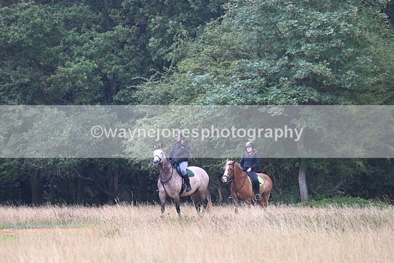 DSC_0784 - Time at Statue 10:58 to 11:53