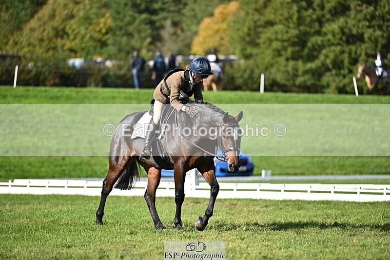 251024A-142221-12403 - D-370-Ruby.Sturgis