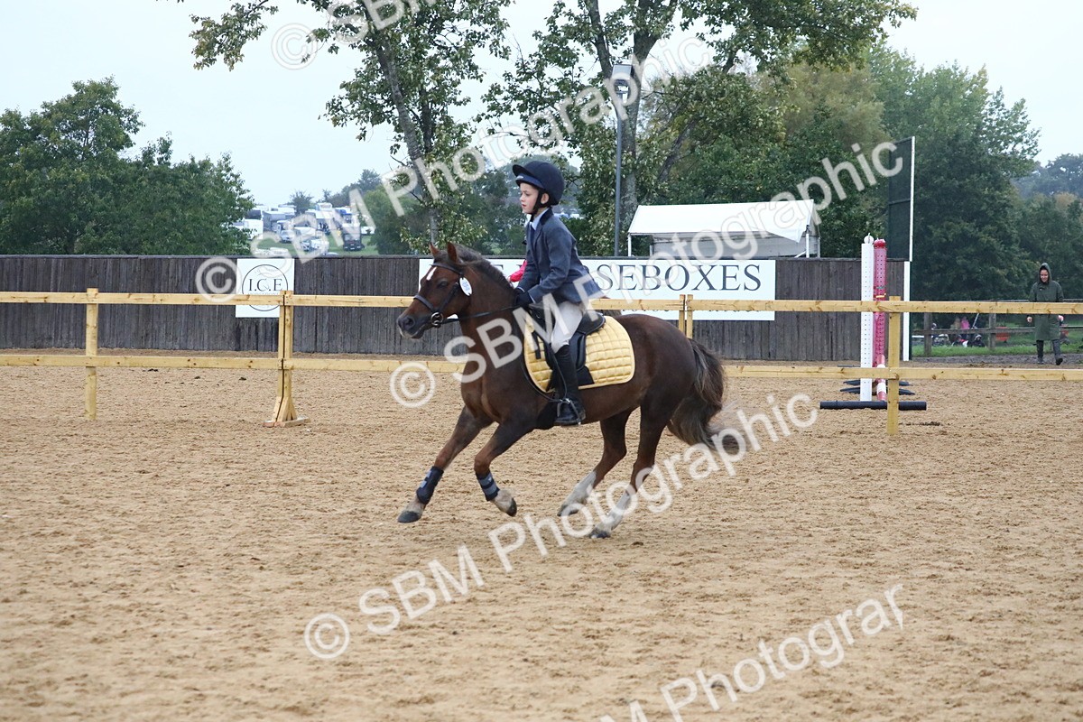 SBM_71500 - J4 - Mini Tour Junior Pony 45cm Championship