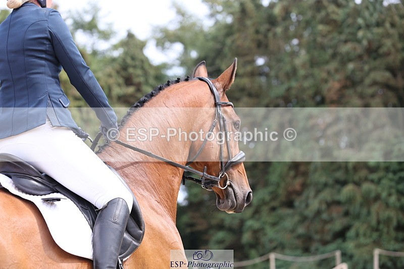 250718A-153708-02627 - 135-Abigail.Sparkes-Taylors.park.forever.more