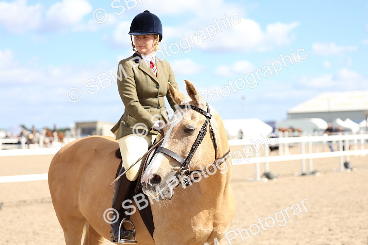 SBM_13292 - Class 311 - Ridden Show Pony Show Hunter Pony