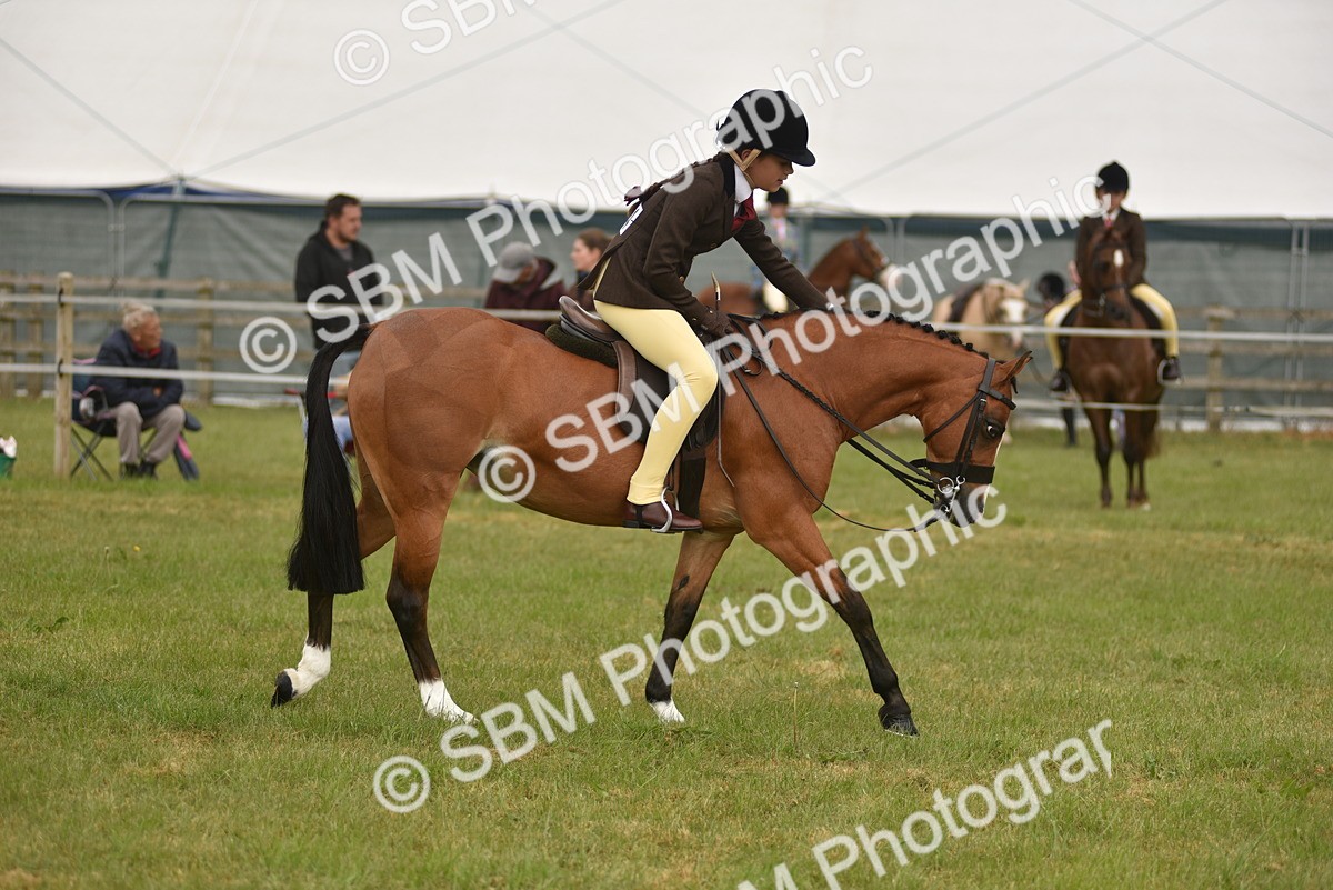 SBM_10706 - Class 110-112 - LIHS BSPS Performance Pones