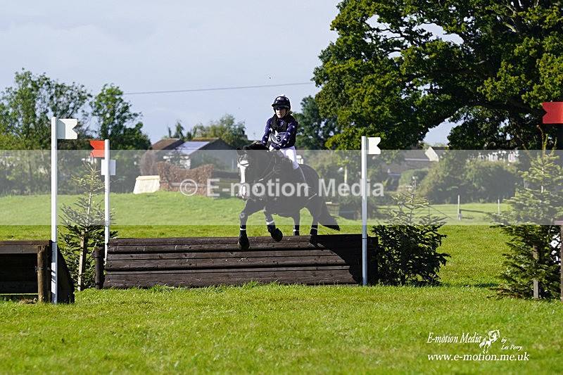  WWHT 031021 1567 - Open Novice (0.80m) 03/10/21