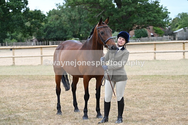 WJ7_9158 - Class 4a Prettiest Mare 14.2hh and over