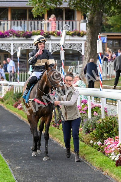 220824-Race 7-Alfa Kellenic-8141 - Race 7 5.20pm British EBF Fillies' Handicap