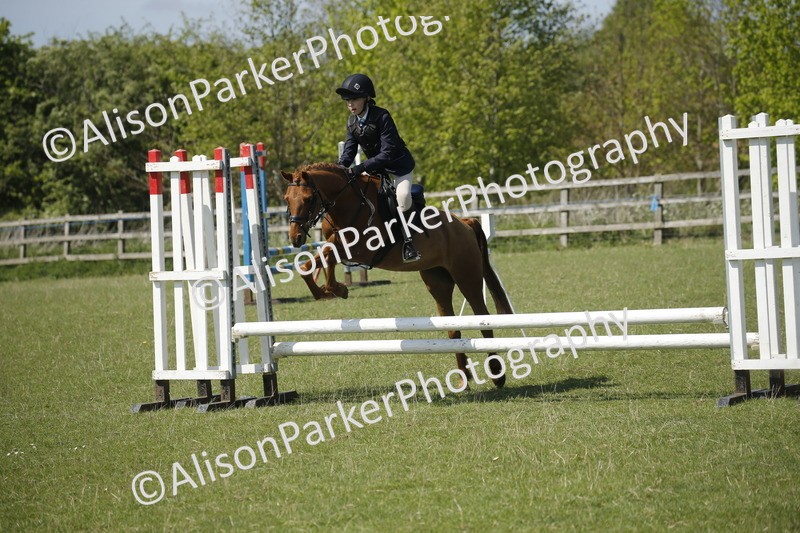 20250427-2260 - Class 13 - Novice Jumping 60cm