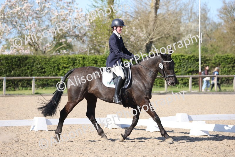 20250405-1201 - Class 17 - Novice 3