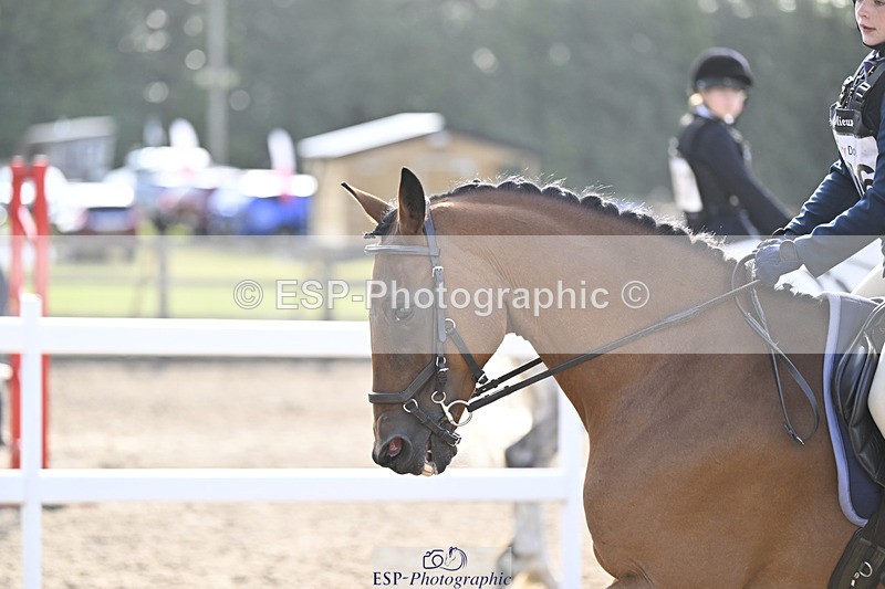 240823X-095102-14934 - 60cm R2 9.30 to 11.00