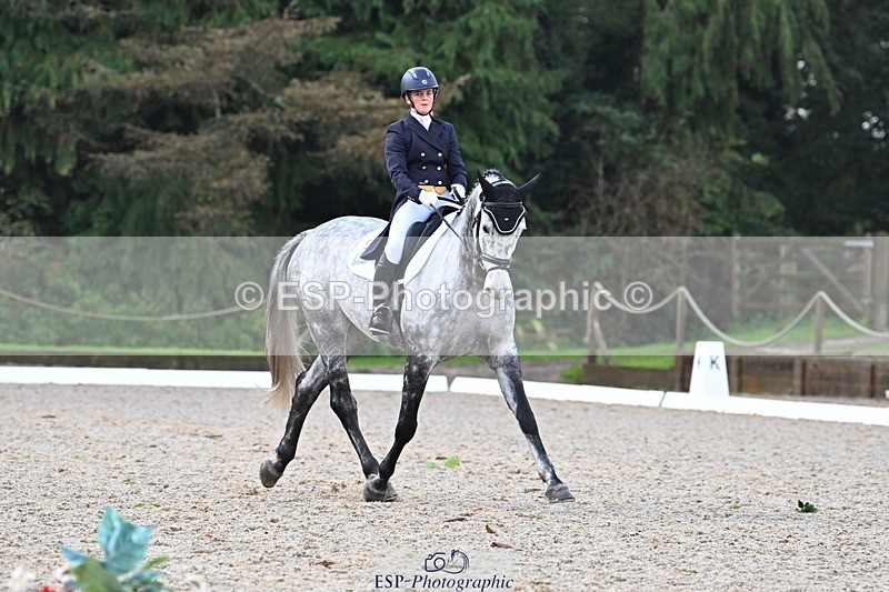 231019-094857-01225 - 028-BOLEYBAWN.COOLEY.LADY-Claire.Fielding-DR