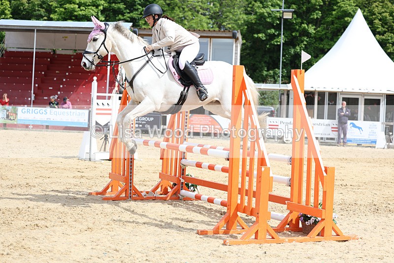 3E7A8811 - Class 4: Senior British Novice/90cm open