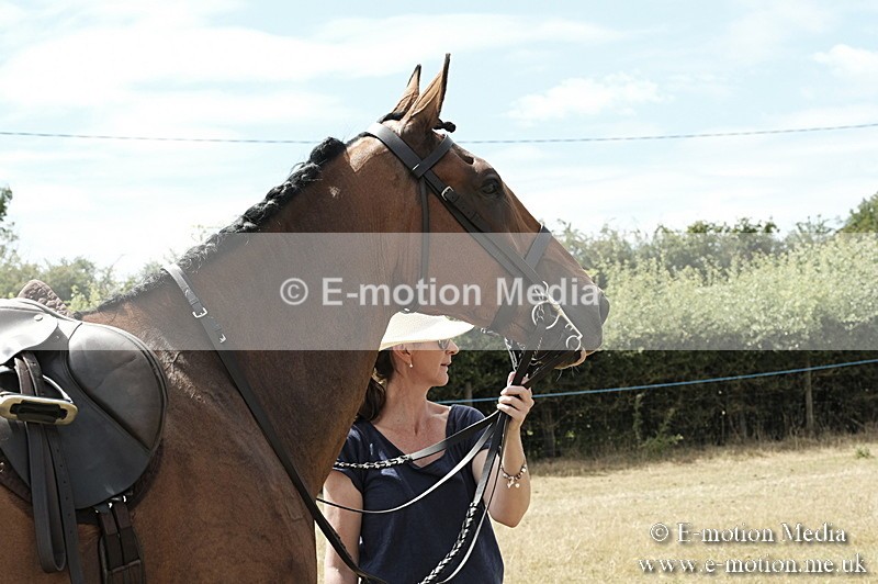 _PJP6026 - BVRC Show 2018 Ring 1