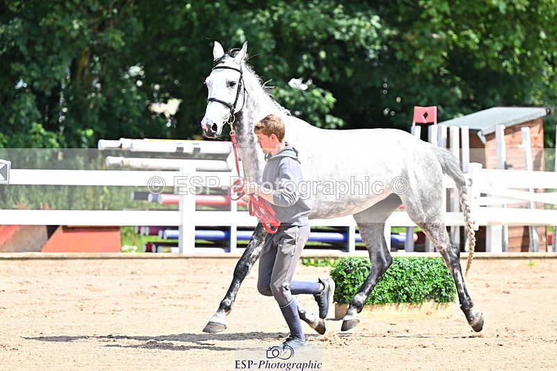 240718A-105238-00957 - Trot Up 11am to 12pm