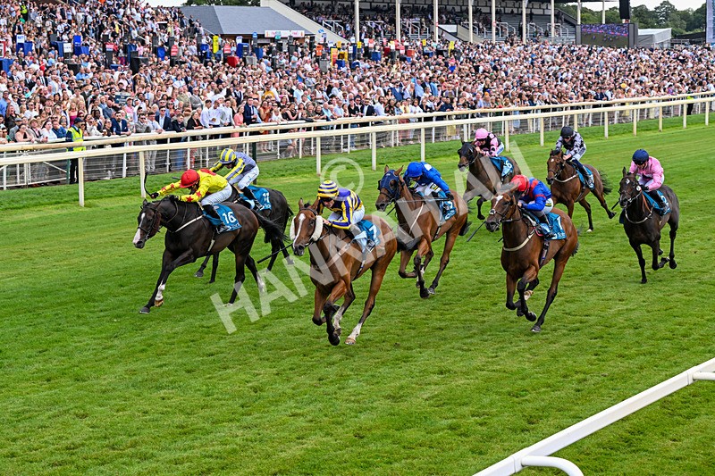 250726-Race 4-Dwindling Funds-7493 - Race 4 15.05pm Sky Bet For The Fans Handicap