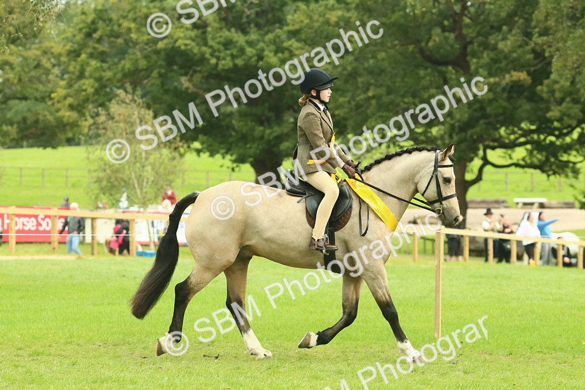 SBM_74992 - Ridden Pony Supreme Championship