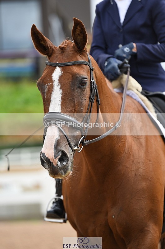 230912A-121544-00762 - Cls 8 Elementary 59