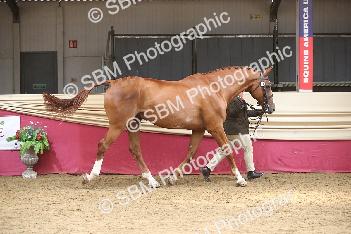 SBM_05573 - Class 9R - Regional IH Pre-Vet