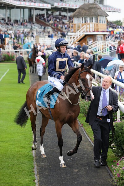 yr22072022r3-26 - Race 3 6.20pm Tomahawk Stakes